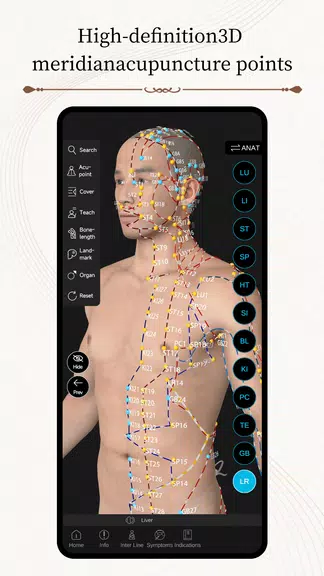 Acupuncture Master 螢幕截圖 0