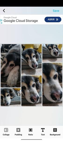 PicsMaster Photo Editor Pro 螢幕截圖 2