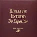 Biblia de Estudo Do Expositor