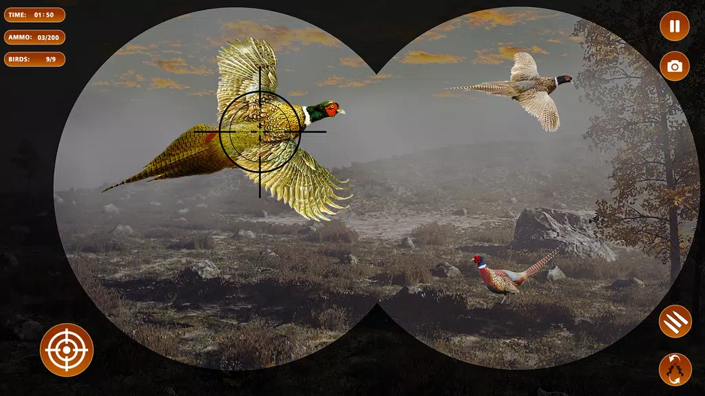 Pheasant Shooter Birds Hunting Captura de pantalla 0