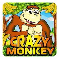 Monkey cash story