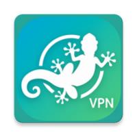 LinkVPN