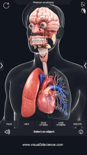 My Organs Anatomy 螢幕截圖 3