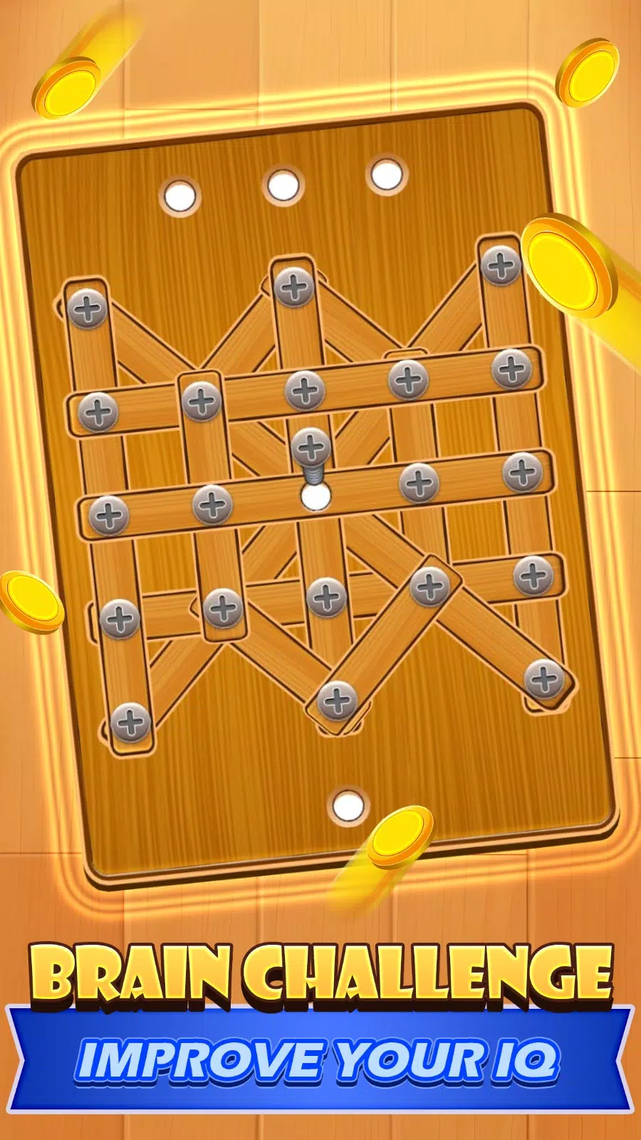 Screw Nuts & Bolt Puzzle 스크린샷 2