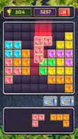 Block Jewel: Brick Puzzle Game应用截图第0张