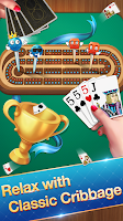 Cribbage - Card Game Zrzut ekranu 1