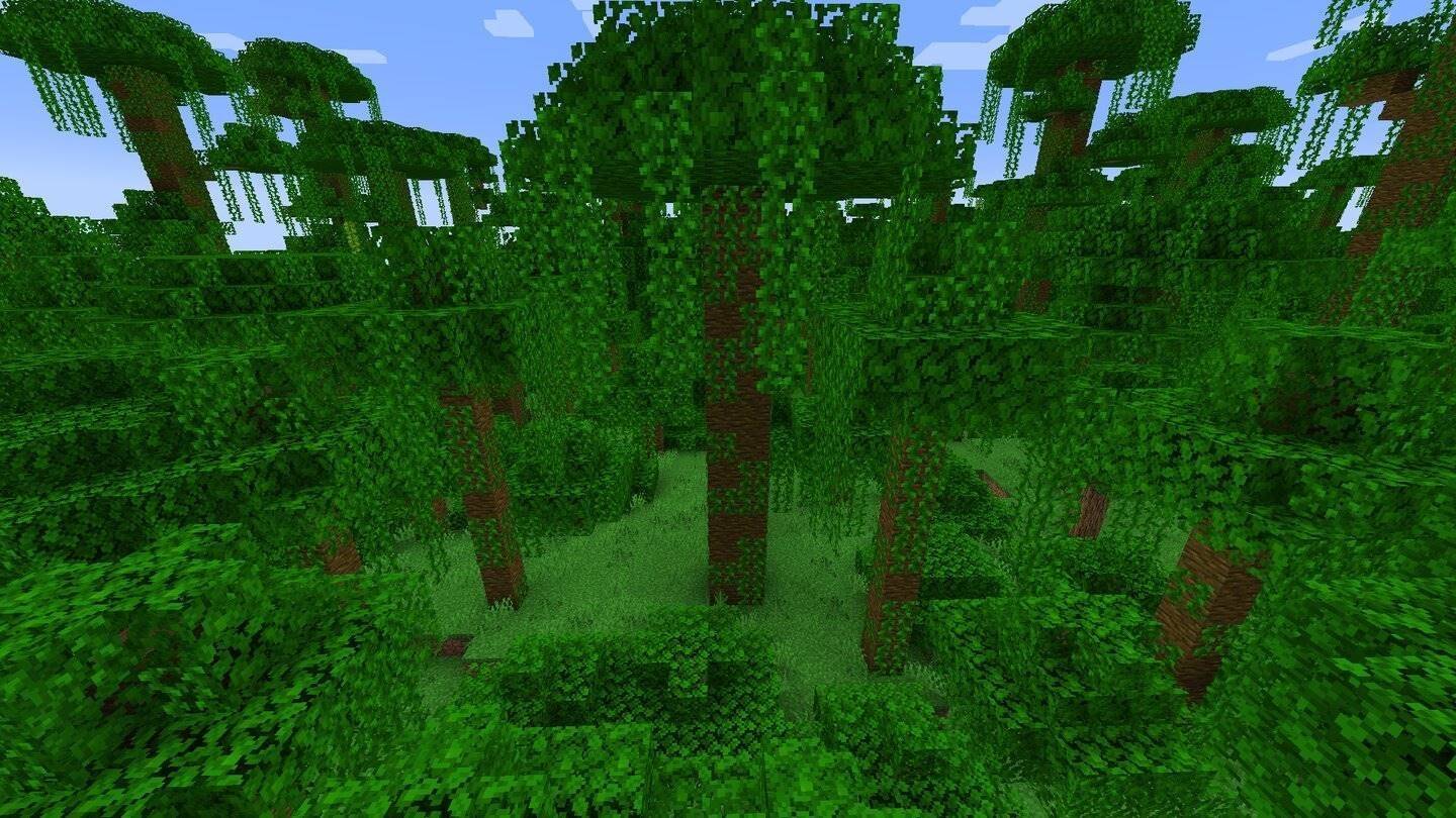 Hutan