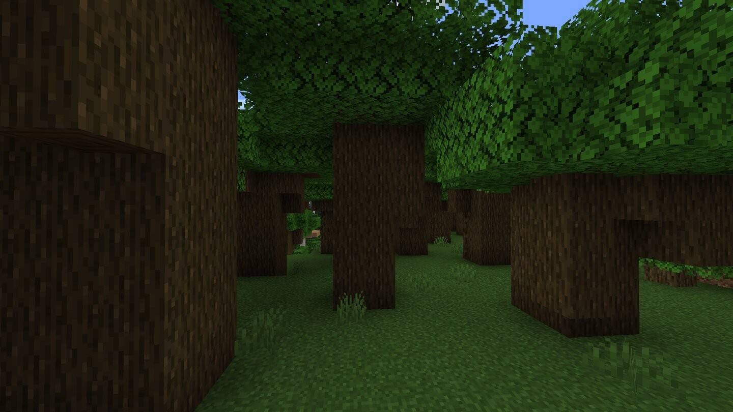 Oak gelap