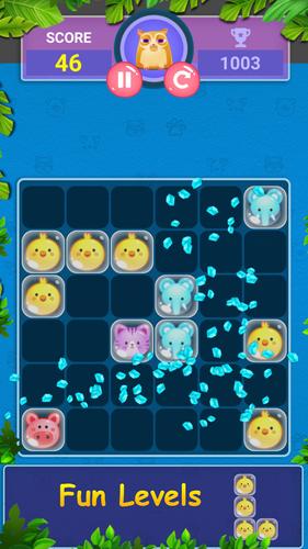 Block Game Puzzle of Pet World Schermafbeelding 1