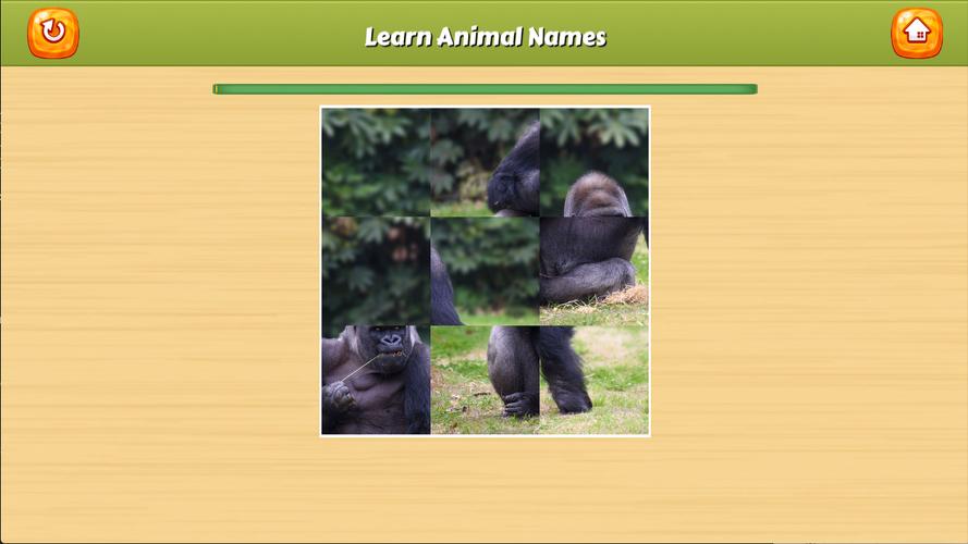 Learn Animal Names 螢幕截圖 3