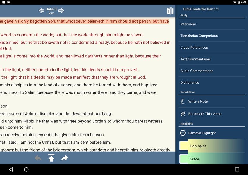 Blue Letter Bible Screenshot 2