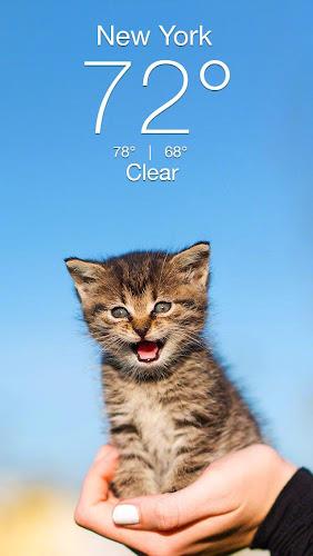 Weather Kitty - App & Widget 螢幕截圖 0