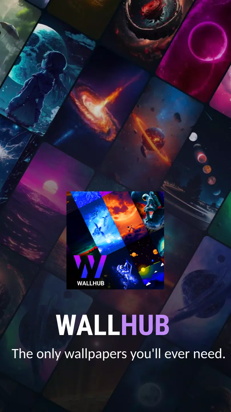 WallHub Schermafbeelding 0
