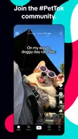 TikTok: Videos, Lives & Musik应用截图第3张