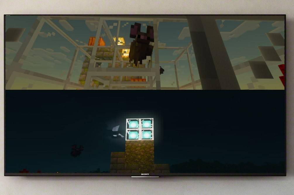 Splitscreen on Minecraft