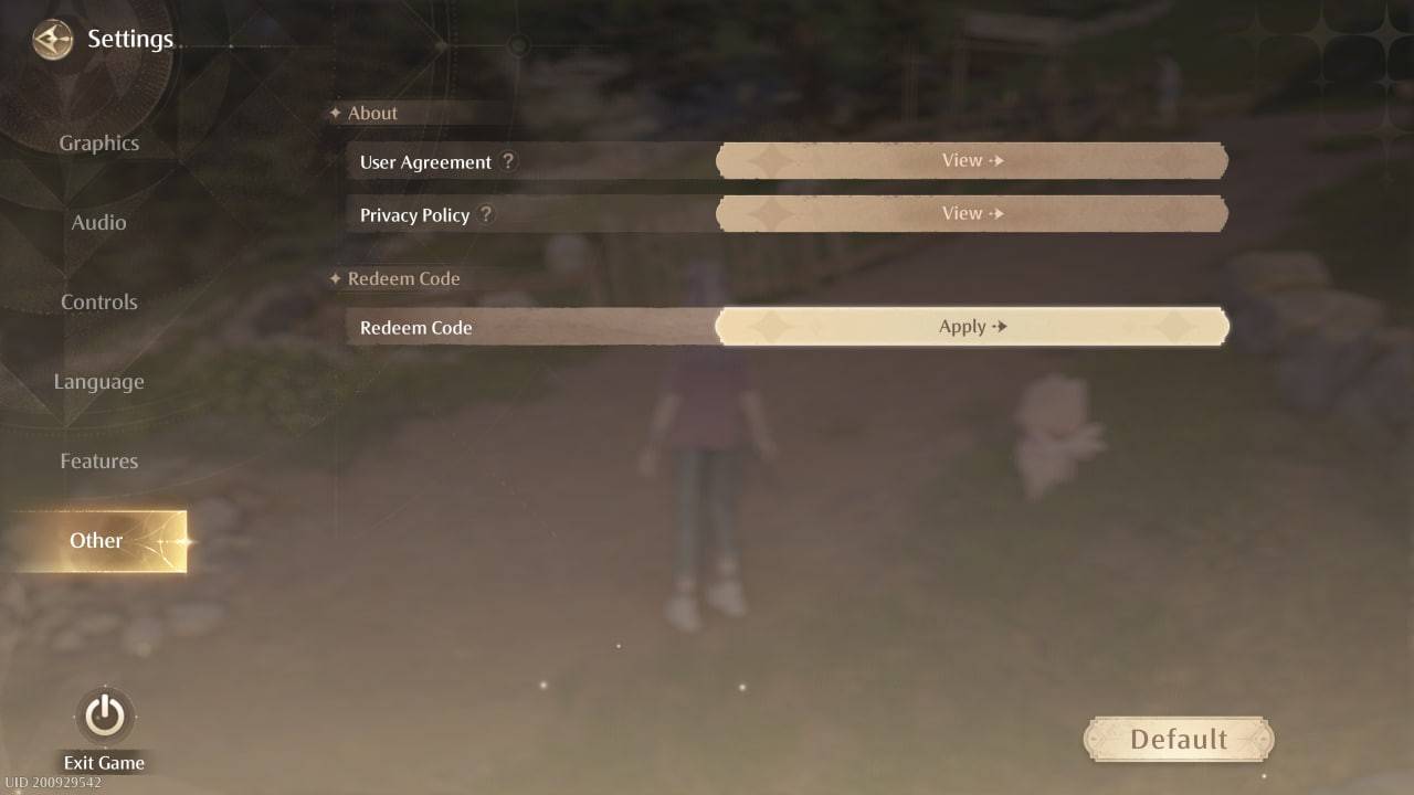 Redeeming Code Screenshot
