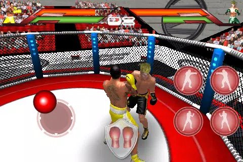Virtual Boxing Zrzut ekranu 0