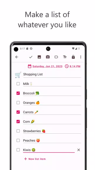 Offline Diary: Journal & Notes Captura de pantalla 1