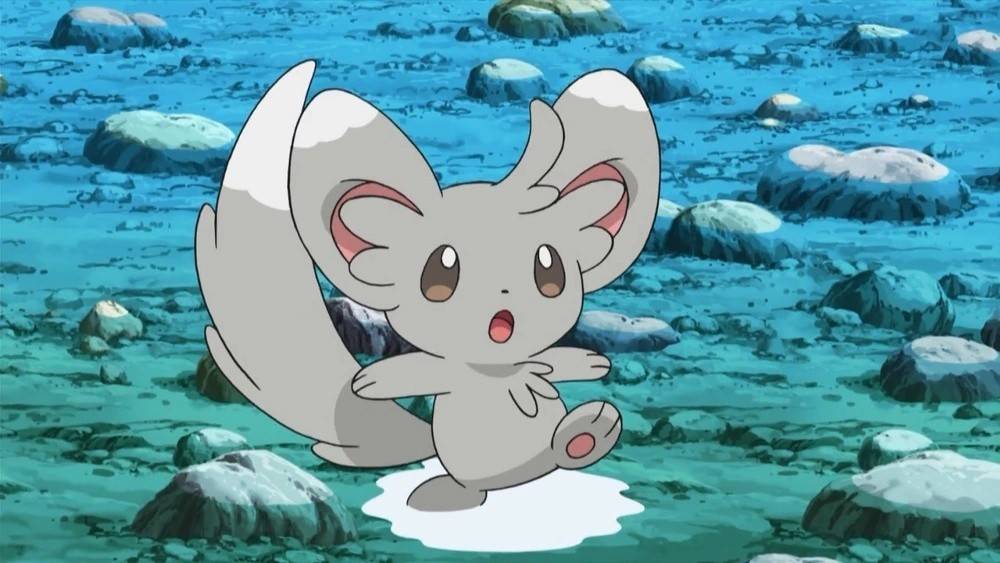 Minccino