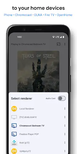 BubbleUPnP for DLNA/Chromecast स्क्रीनशॉट 1