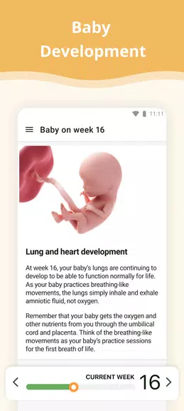 Pregnancy App Скриншот 1