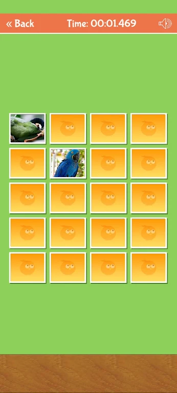 Birds Memory Match Game ဖန်သားပြင်ဓာတ်ပုံ 2