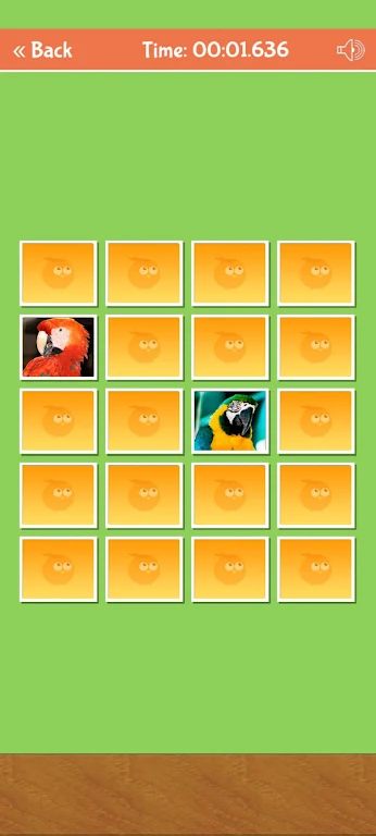 Birds Memory Match Game ဖန်သားပြင်ဓာတ်ပုံ 3