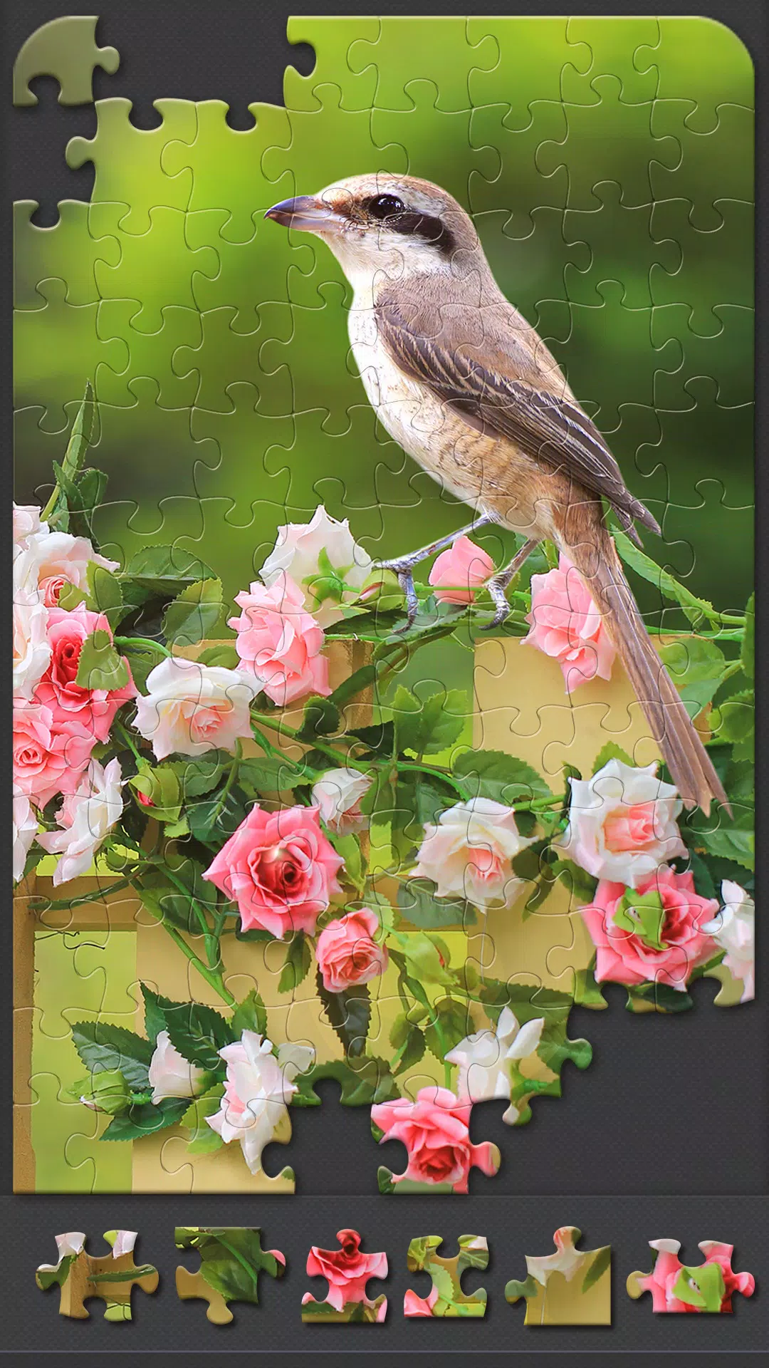 Jigsaw Puzzles for Adults 스크린샷 2