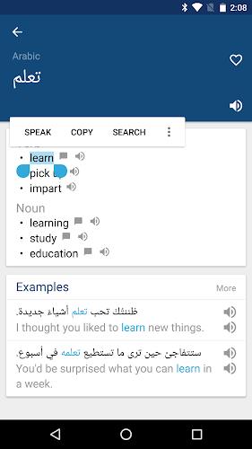 Arabic English Dictionary Capture d'écran 1