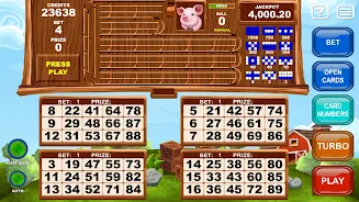 Video Bingo Little Farm Tangkapan skrin 2