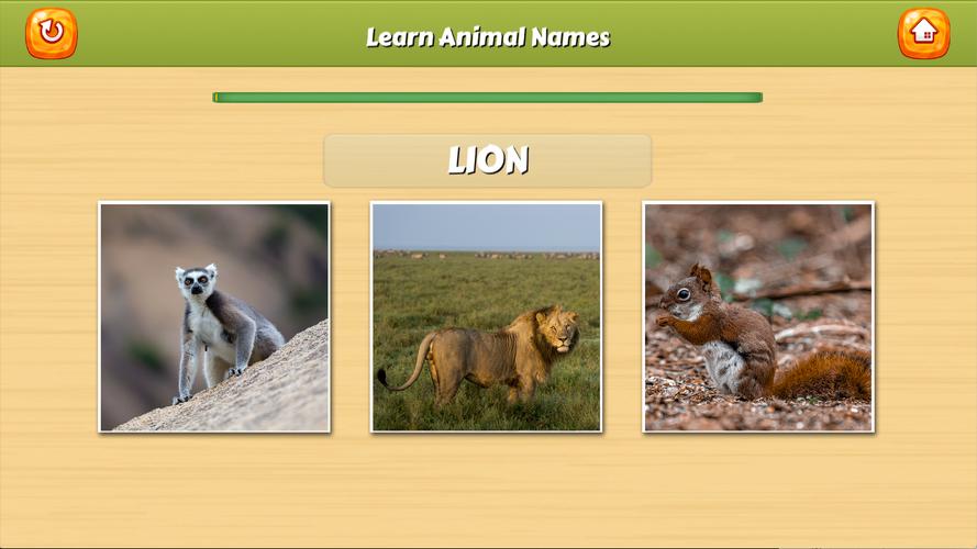 Learn Animal Names 螢幕截圖 2