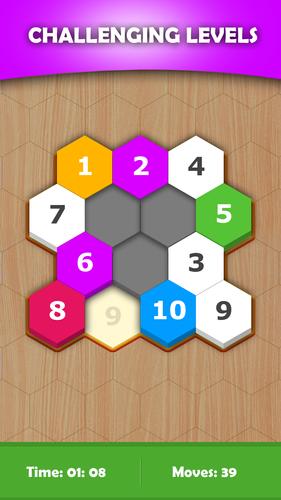 Hexa Sort Puzzle Ekran Görüntüsü 1