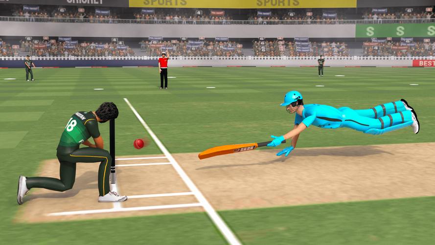 Real World Cricket Games স্ক্রিনশট 1