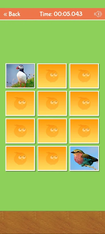 Birds Memory Match Game ဖန်သားပြင်ဓာတ်ပုံ 1