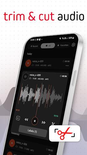 Schermata Voice Recorder Pro - VoiceX 1