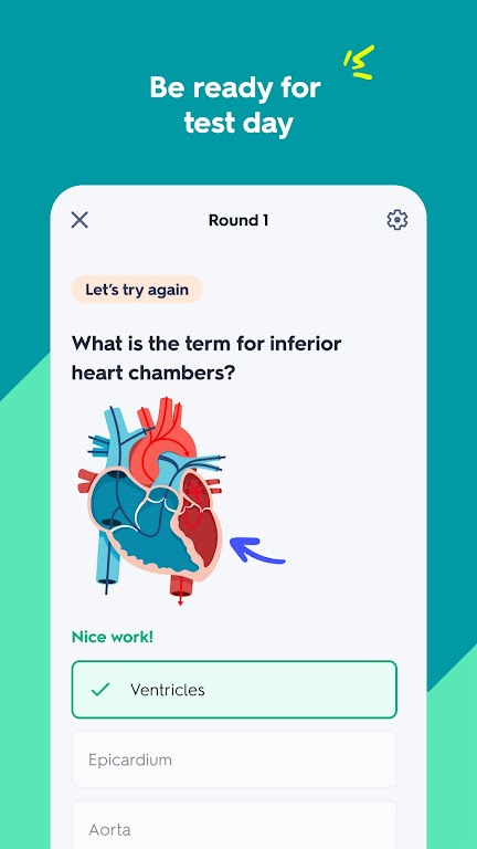 Quizlet: AI-powered Flashcards Mod স্ক্রিনশট 2