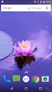 Zen Live Wallpaper স্ক্রিনশট 2