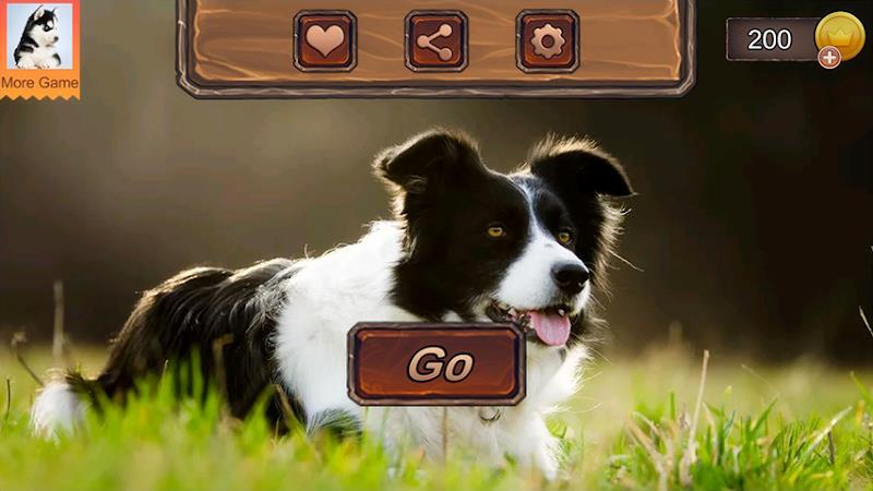 Border Collie Simulator Screenshot 2