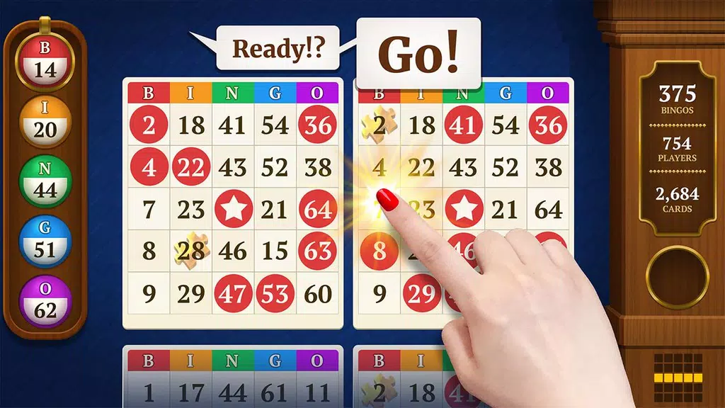 Power Bingo: Free Casino Games ဖန်သားပြင်ဓာတ်ပုံ 0