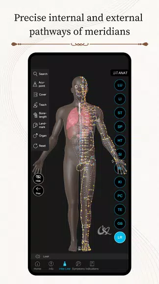 Acupuncture Master 螢幕截圖 1