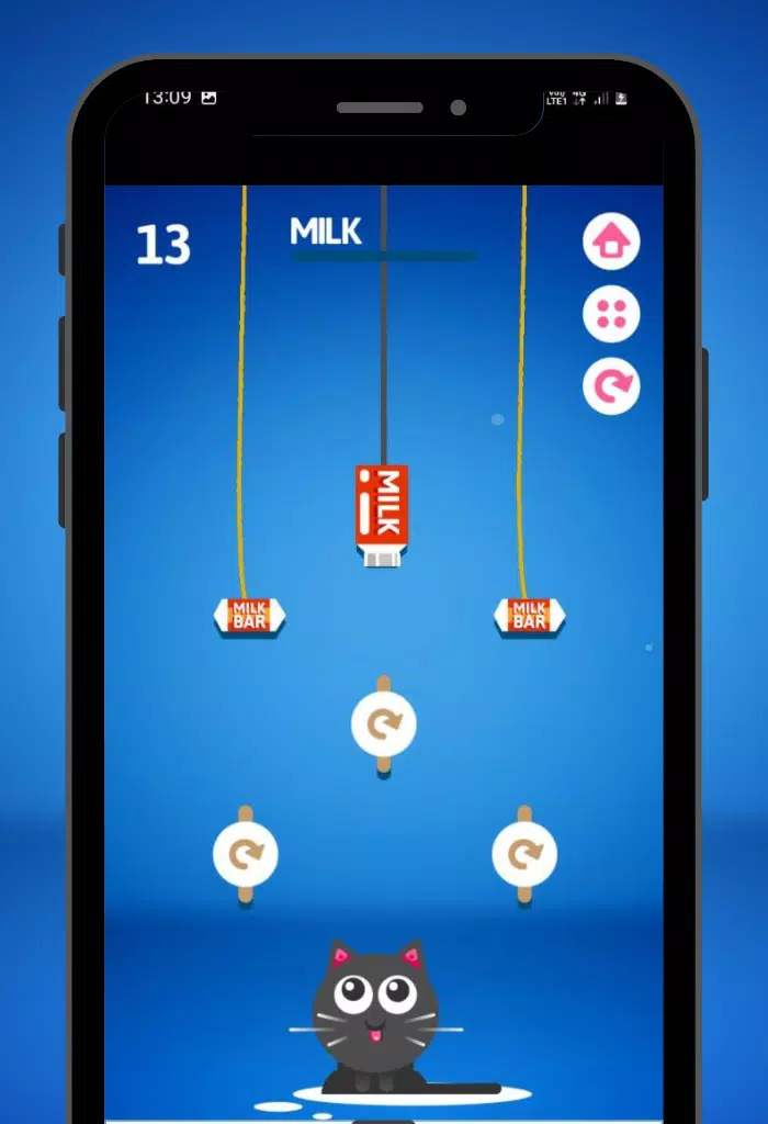 Feed the Kitty Cat Game Zrzut ekranu 2