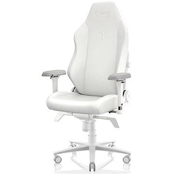 Secretlab Chairs & Desk