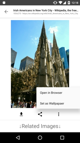 ImageSearchMan – Image Search Screenshot 2