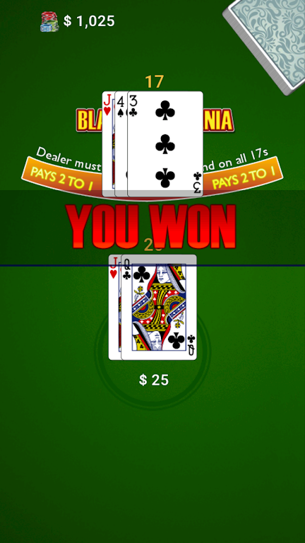 BlackJack Mania স্ক্রিনশট 2