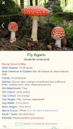 Shroomify - Mushroom Identific Screenshot 0