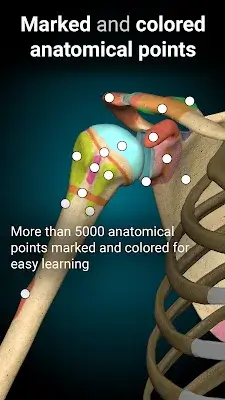 Anatomy Learning - 3D Anatomy Schermafbeelding 2