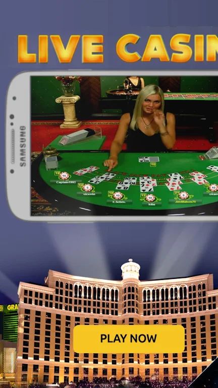 SPINPALACE - New Bonuses স্ক্রিনশট 1