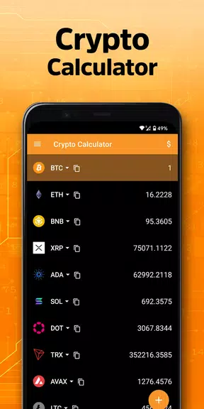 Crypto Calculator Ekran Görüntüsü 2