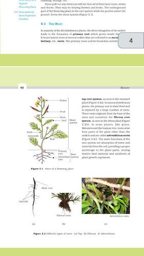 Class 11 Biology NCERT Book Ekran Görüntüsü 1