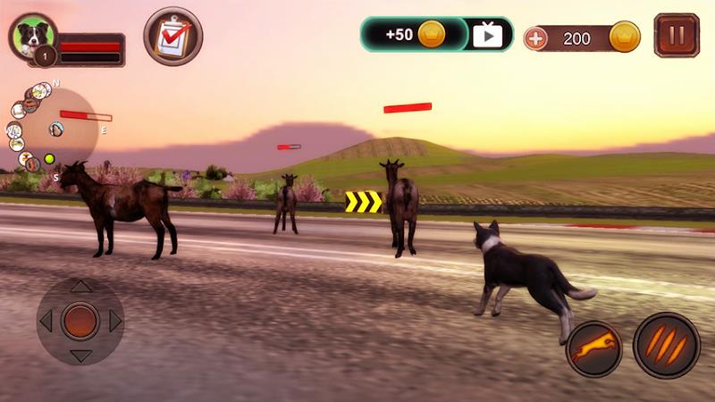 Border Collie Simulator Captura de tela 1